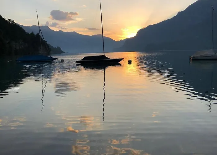 Aareblick 68 Charming With River View * Ringgenberg