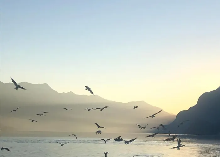 Appartamento Aareblick 68 Charming With River View