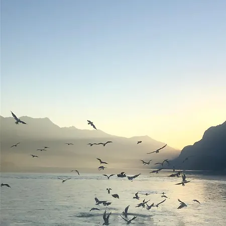 Appartamento Aareblick 68 Charming With River View